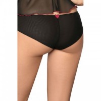 Black Soft Sheer Tulle Knickers With Heart Embroidery In Red