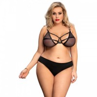 Black Mesh Bra & Briefs Lingerie Set